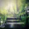 guidance énergétique x3